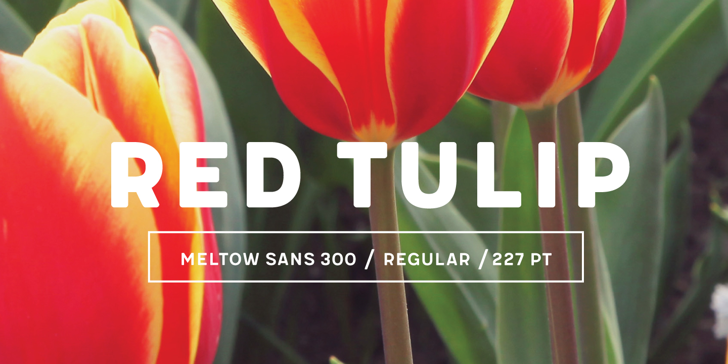 Meltow San 100 Rust Font preview